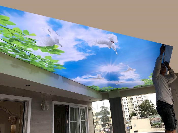 thi công trần xuyên sáng barrisol giá rẻ hcm