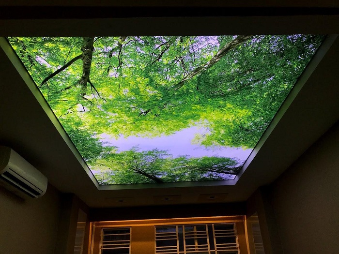 thi công trần xuyên sáng giá rẻ