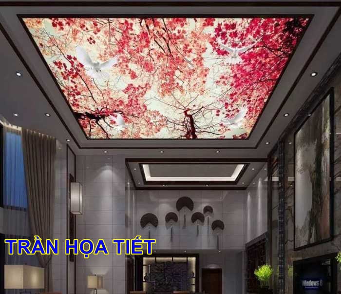 thi công trần họa tiết xuyên sáng