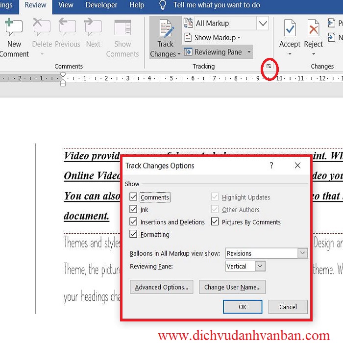 mở hopoh thoại Track Changes Options