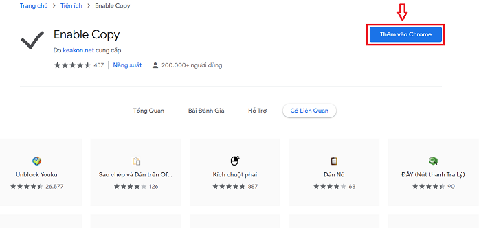 Thêm Enable Copy vào Chrome