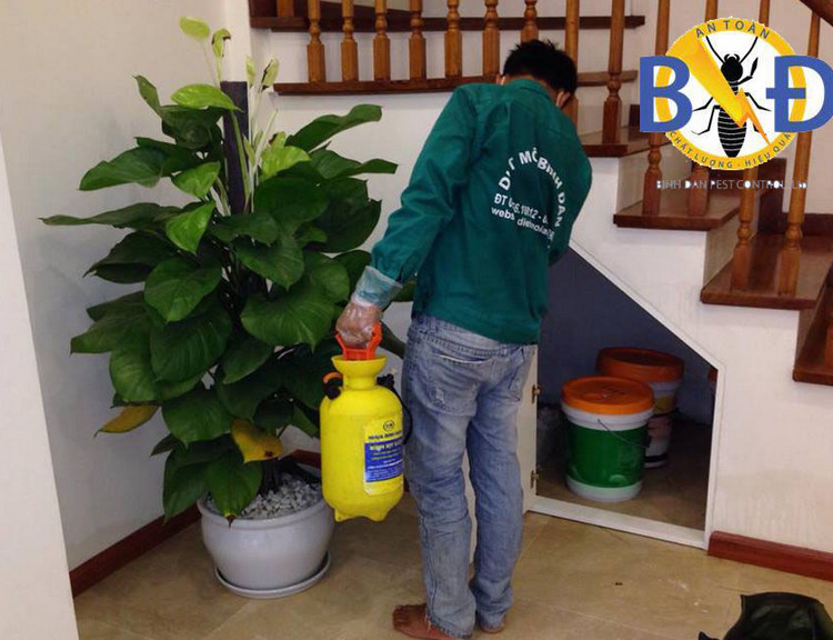 diệt mối tại nhà TP HCM