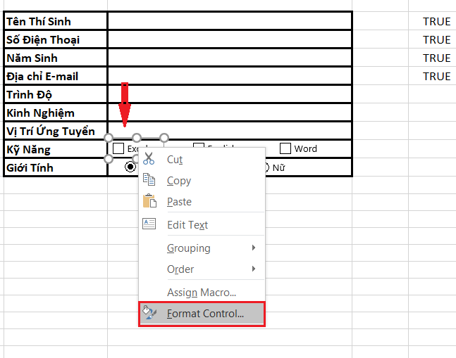 Format control