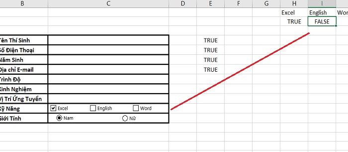 kiểm tra cell link Trình độ