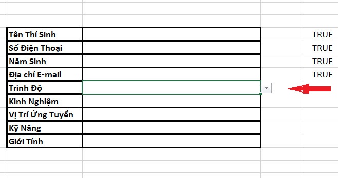 tạo list sổ xuống Trình độ