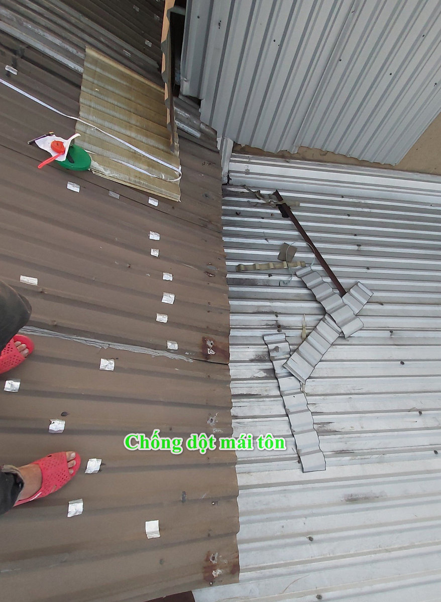 sửa tôn tại bình dương