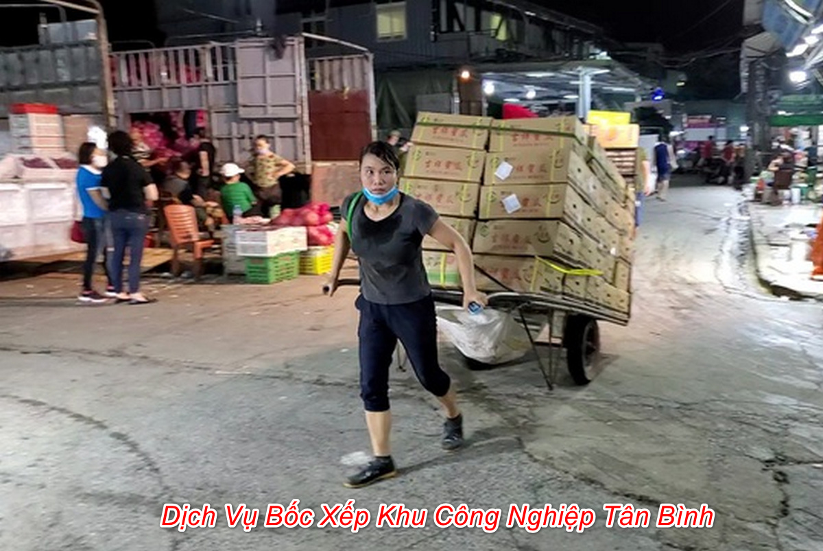 vận chuyển bốc xếp