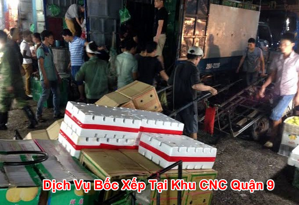 dịch vụ bốc xếp giá rẻ