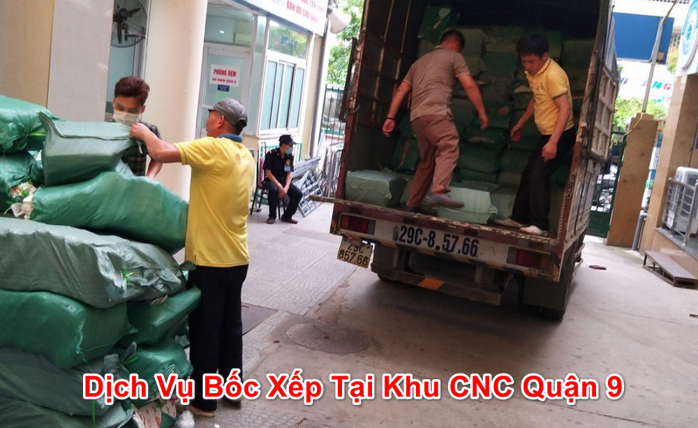 đội ngũ nhân viên chuyên nghiệp