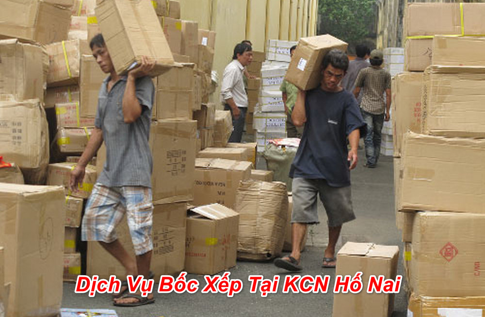 đội ngủ chuyên nghiệp