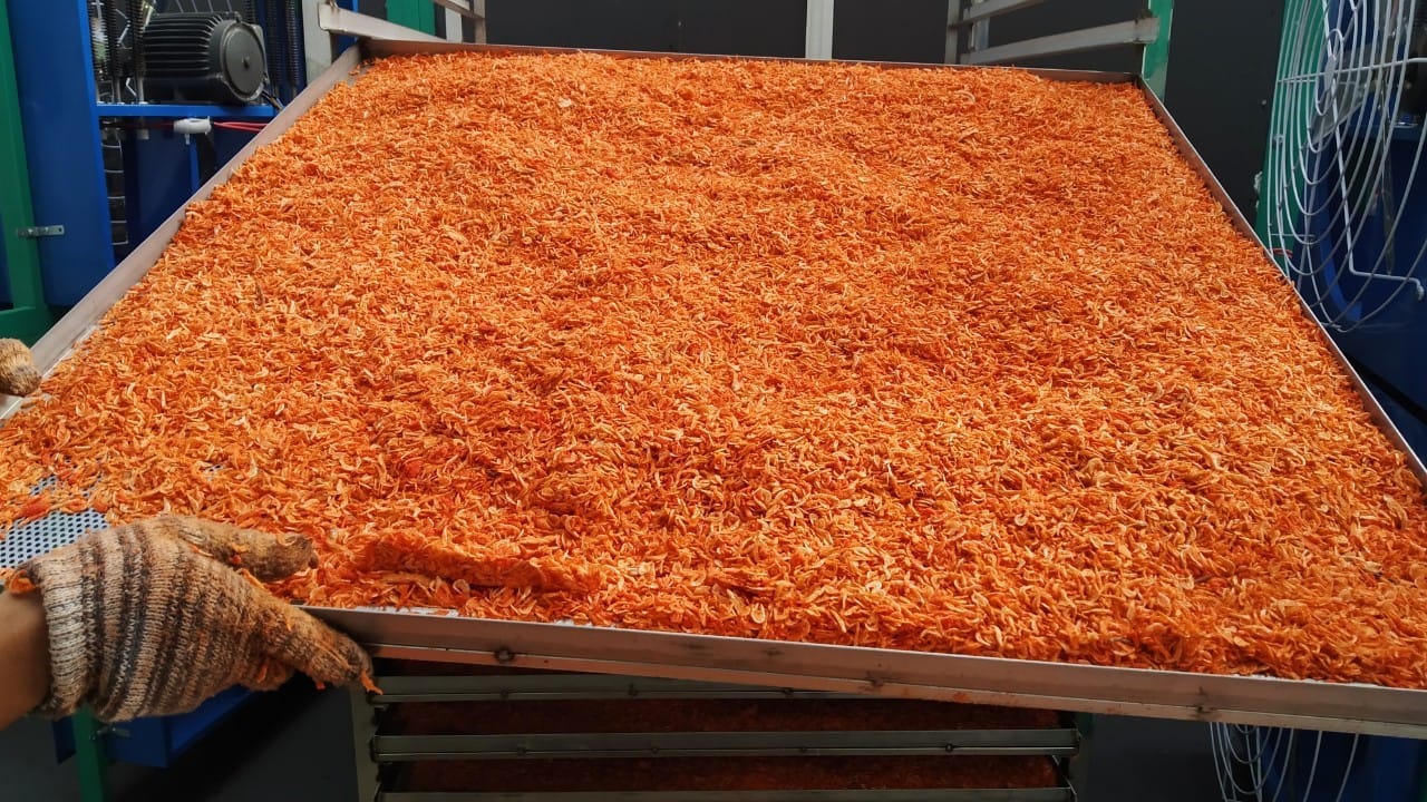 sấy vỉ ruốc bằng năng lượng mặt trời