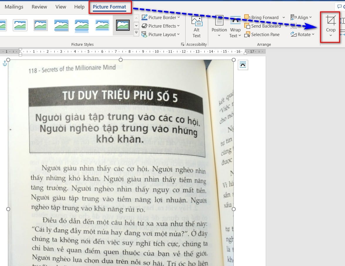 hình ảnh chọn công cụ crop