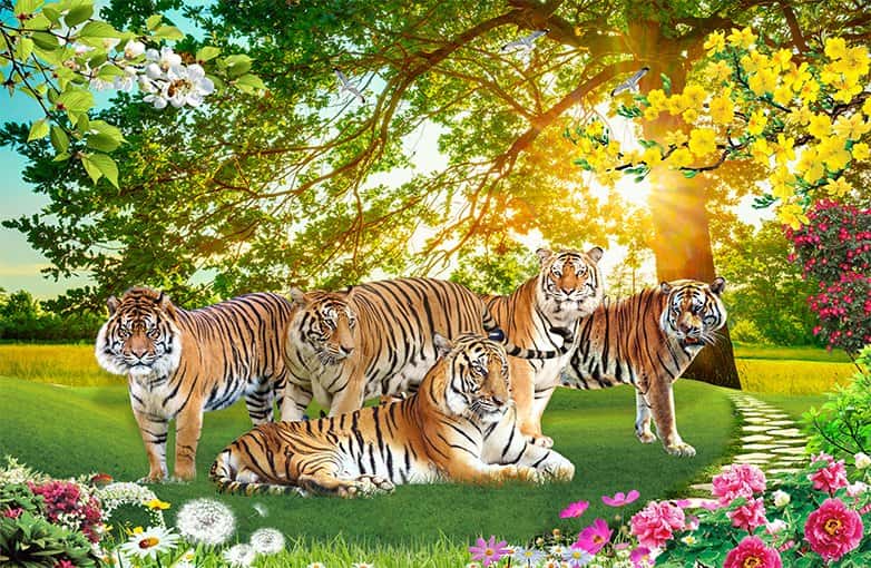 tranh dán tường
