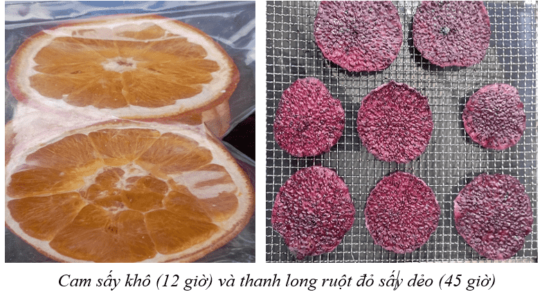 cam sấy khô ứng dụng máy sấy năng lượng mặt trời