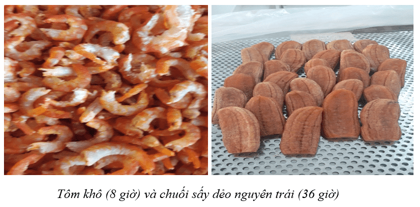 tôm sấy khô